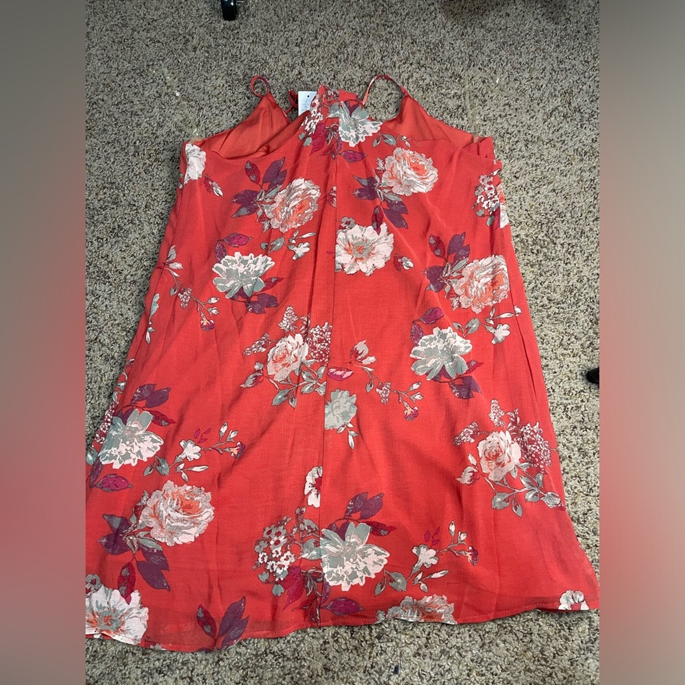 EyeShadow at Maurices New floral dress Large - Picture 2 of 5